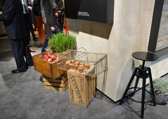 IMM COLOGNE 2017