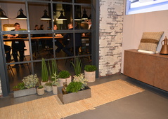 IMM COLOGNE 2017